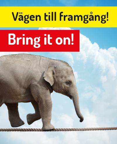 Elefant på lina
